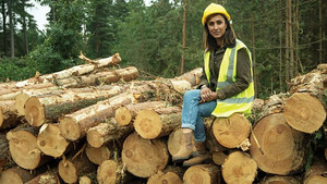 Royal Special: Windsor