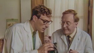 When Dreams Come True