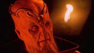 Whatever Happened to Mr. Garibaldi?