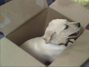 Scott, Charlene, and Mike at the Beach