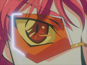 White Ark of Restoration!