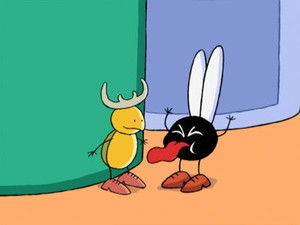 The Fly and the Beetle