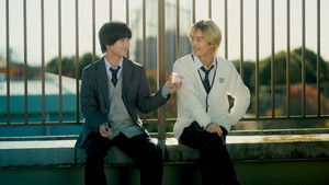 vs. Beginnings of Love