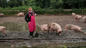 Pearls before Swines