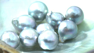 Pearls for Remembrance