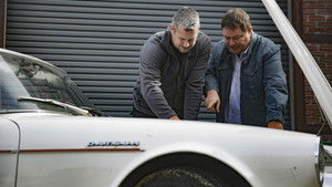 This Horse Needs to Be Put Out of Its Misery