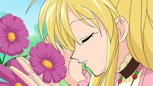 Is Mitsuki an Expert on Love?