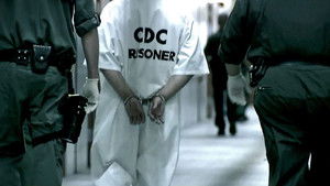 Pardon Me, Mr. President