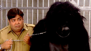 In Love With The Monkey