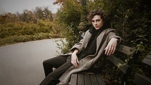 Timothée Chalamet with boygenius