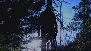 The Top Ten Extraordinary Creatures