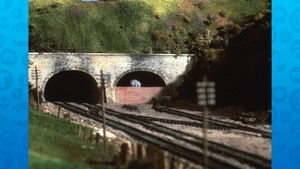 The Sad Story of Henry