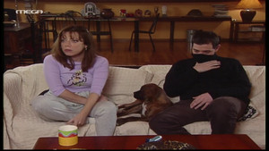 Bowling, Sto pet shop, To skuli