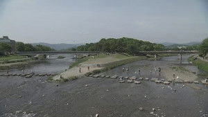 Kyoto: Kamo River Delta in Youth