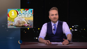 Bird flu | Rosemary Wind