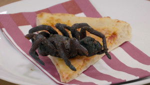 A Wolf in the Eagle's Nest