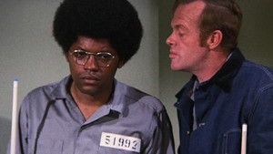 Peace Now -- Arly Blau