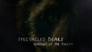 Spectacled Bears - Shadows Of The Forest