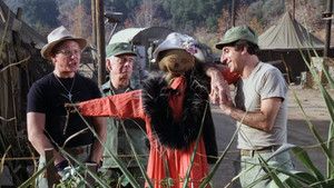 A War for All Seasons