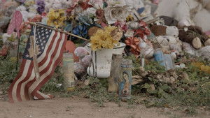 Mass Shooting Nation