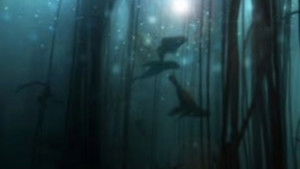 Golden Seals of the Skeleton Coast