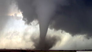 Mo Mowlam, Jason Priestley