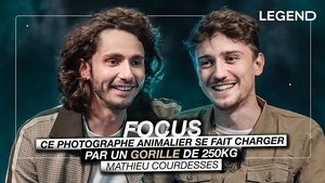 This wildlife photographer is charged by a 250 kg gorilla (Mathieu Courdesses)