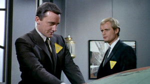 The Cherry Blossom Affair