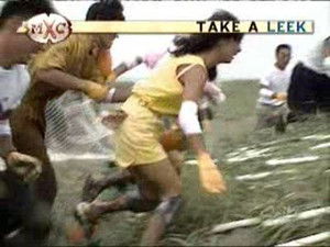 Desperate Housewives vs. Ultimate Fighters