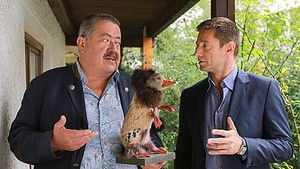 The Fall of the Fells