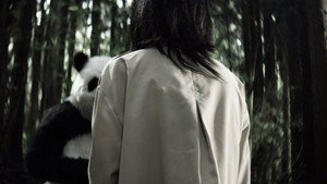 Episode 17
