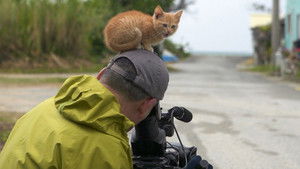 Okinawa: Taketomi Island Adventures