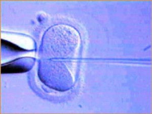 18 Ways to Make a Baby