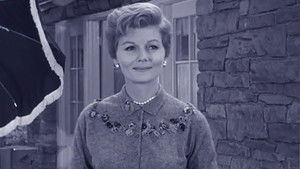 Beaver, the Magician