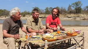 En krokodille i Zambia