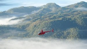 Heart Of (Darwin) Glass