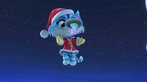 Christmas Cat-tastrophe