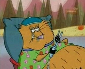 Chocolate Up to Experience