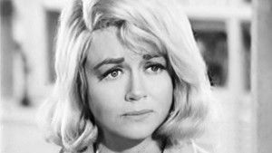 Episode #2.101 (pp-215)