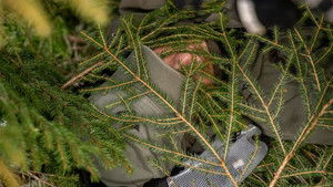 Viljestyrke: Beretseremoni