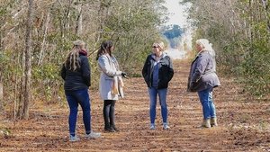 The Land of Milk and Honey?