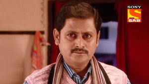 Honeymoon Journey Begins