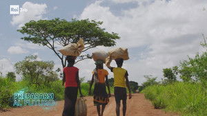 The ecological footprint