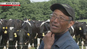 Life in a Land of Grass