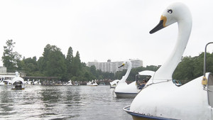 Tokyo's Inokashira Park: Drawn to the Pond