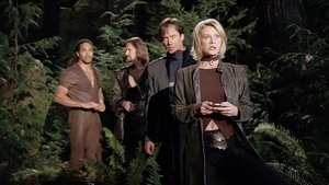 Deep Midnight's Voice