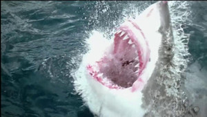 Making Stuff: Smarter