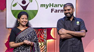 Gold, Jobs, Fresh Produce