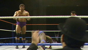 Don Muraco's newest film Fuji Chan