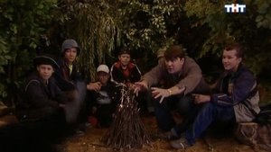 Лесная Ботва